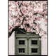 Poster Gallerix Pink Flowers Green Door
