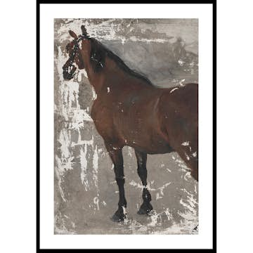 Poster Gallerix Štúdia koňa By Jozef Hanula