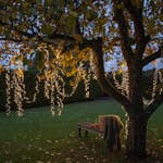 Ljusslinga Star Trading Shiny Warm White