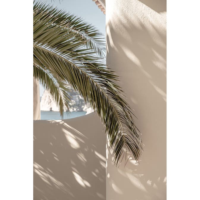 Posters Venture Home Palmleaf Beige