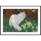 Poster Gallerix White Cat And Butterflies By Arthur Heyer