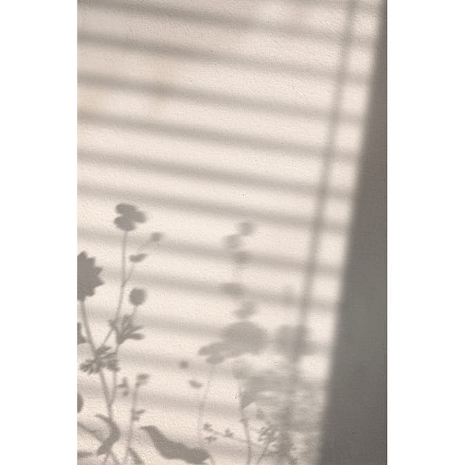 Posters Venture Home Flower Shadow Vit
