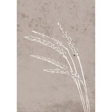 Posters Venture Home Seeds Beige