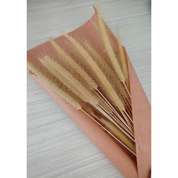 Posters Venture Home Dry Flowers Rosa/beige