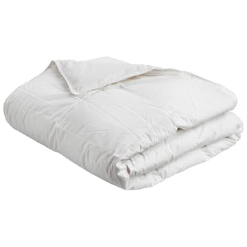 Duntäcke Borganäs of Sweden Enkelsäng