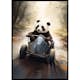 Poster Gallerix Panda Race Driver