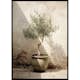 Poster Gallerix Olive Tree Mediterranean No1