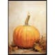 Poster Gallerix Autumn Pumpkins No1