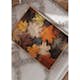 Poster Gallerix Multicolored Autumn Leaves