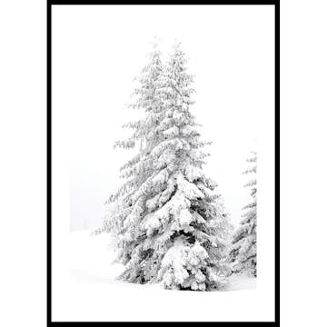 Poster Gallerix Snow Covered Pine Trees