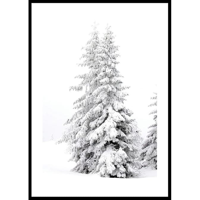 Poster Gallerix Snow Covered Pine Trees