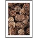 Poster Gallerix Fir Cones Close Up