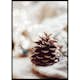 Poster Gallerix Fir Cone