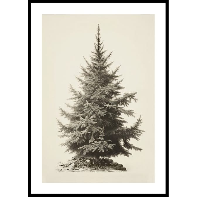 Poster Gallerix Vintage Fir Tree