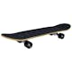 Skateboard Sandbar Shark