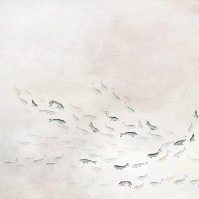 Tapet Coordonné Core 6600081