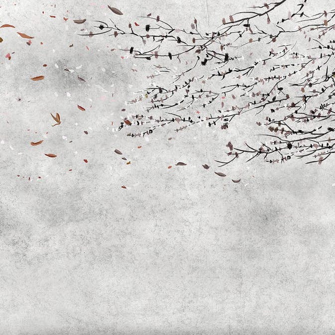 Tapet Coordonné Core 6600085