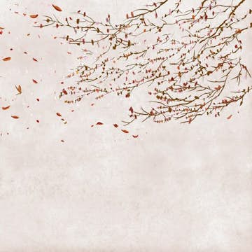 Tapet Coordonné Core 6600086