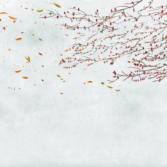 Tapet Coordonné Core 6600087