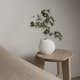 Vas Blomus Nona 14 cm