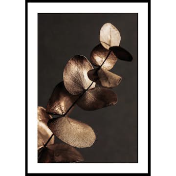 Poster Gallerix Eucalyptus Gold & Brown