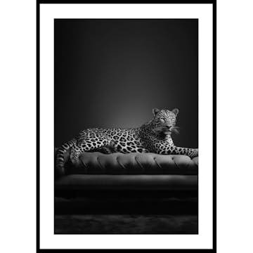 Poster Gallerix The Pet Leopard B&W