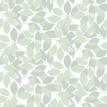 Tapet Duro Augusti Grön 67602