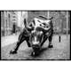 Poster Gallerix Charging Bull No1