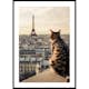 Poster Gallerix Cat In Paris