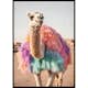 Poster Gallerix Camel In Colors