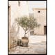 Poster Gallerix Olive Tree Mediterranean Setting No1