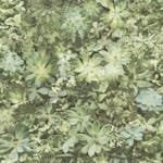 Tapet Galerie Wallcoverings Evergreen 7320