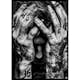 Poster Gallerix Tattooed Emotion