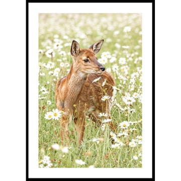 Poster Gallerix Deer in Bloom