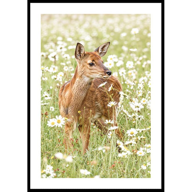 Poster Gallerix Deer in Bloom