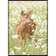 Poster Gallerix Deer in Bloom
