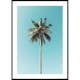 Poster Gallerix Palm Tranquility