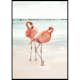 Poster Gallerix Flamingo Beach Duo