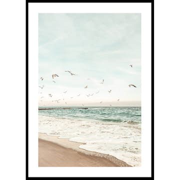 Poster Gallerix Seagull Shore