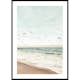 Poster Gallerix Seagull Shore