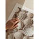 Poster Gallerix Coastal Seashell Medley