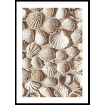 Poster Gallerix Coastal Seashell Medley