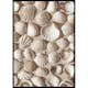 Poster Gallerix Coastal Seashell Medley