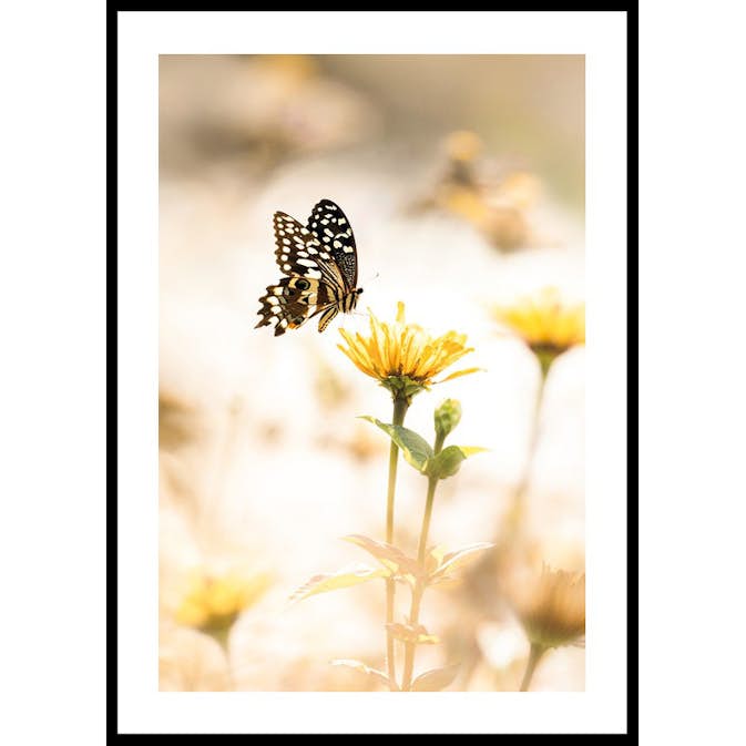 Poster Gallerix Butterfly Bliss
