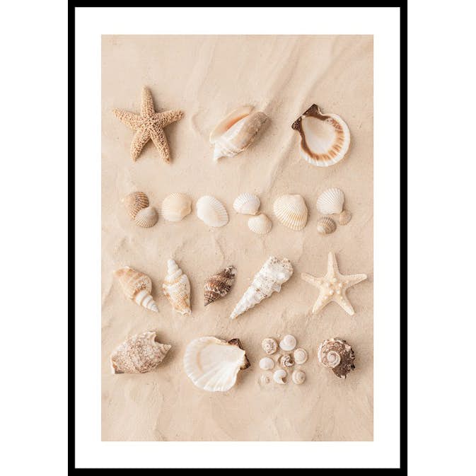 Poster Gallerix Coastal Shells