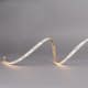 LED-Strip Hide-a-lite HighLum 10 m