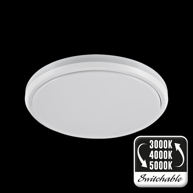 Plafond Designlight Roundy TLE