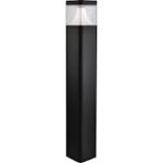 Pollare Westal Magnum