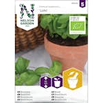 Frö Basilika Nelson Garden Loki Ekologisk