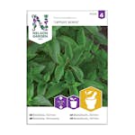 Frö Citronbasilika Nelson Garden Lemon Scent